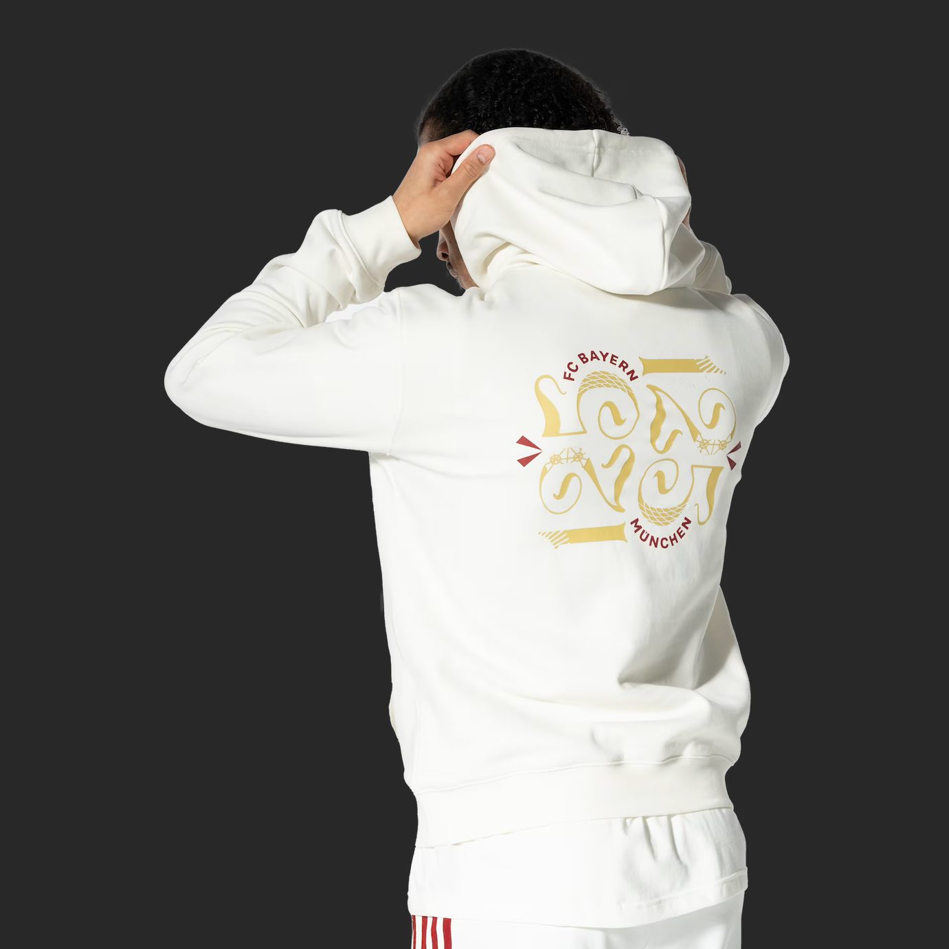 Bayern Munich Hoodie 125th Anniversary - Gray