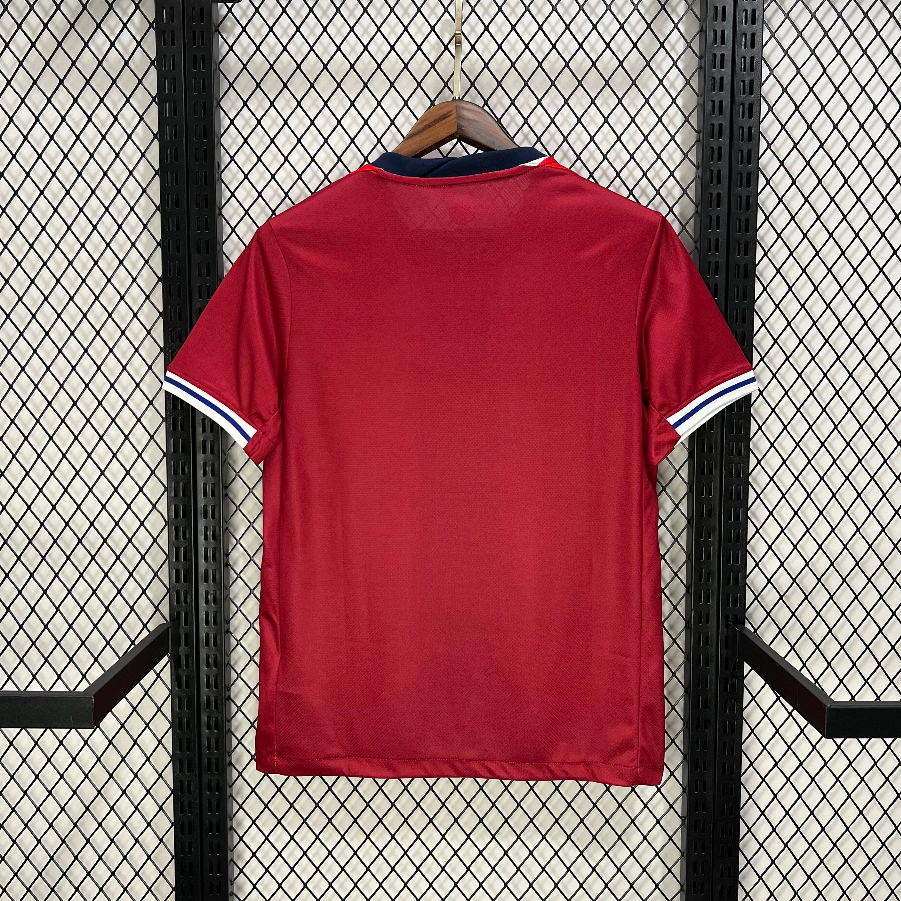 #10 ﾃ賄egaard Norway Home Jersey 2024/2025