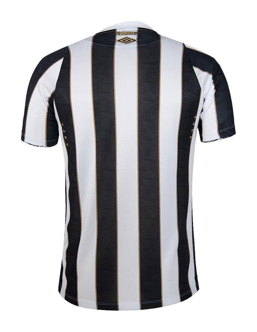 Santos 24/25 II Away Jersey - Fan Version